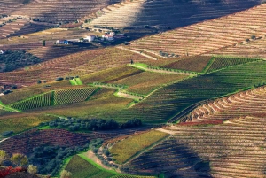 Visite de la vallée de Porto Douro | La richesse du vin | TOUT COMPRIS.