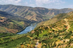 Visite de la vallée de Porto Douro | La richesse du vin | TOUT COMPRIS.