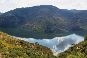 Visite de la vallée de Porto Douro | La richesse du vin | TOUT COMPRIS.