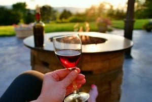 Visite de la vallée de Porto Douro | La richesse du vin | TOUT COMPRIS.