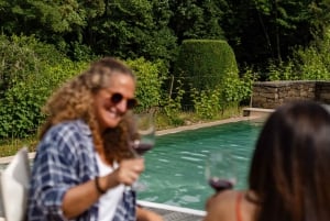 Porto: pranzo culturale privato e degustazione di vini nella Valle del Douro