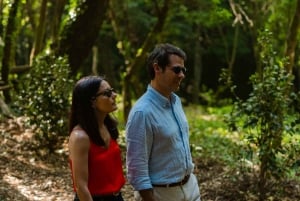 Porto: pranzo culturale privato e degustazione di vini nella Valle del Douro