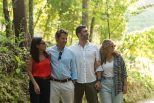 Porto: pranzo culturale privato e degustazione di vini nella Valle del Douro