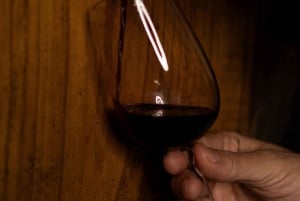 Porto: pranzo culturale privato e degustazione di vini nella Valle del Douro