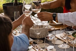Porto: pranzo culturale privato e degustazione di vini nella Valle del Douro