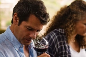 Porto: pranzo culturale privato e degustazione di vini nella Valle del Douro