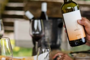 Porto: pranzo culturale privato e degustazione di vini nella Valle del Douro