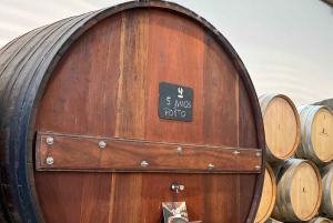 Duero z Porto – triathlon