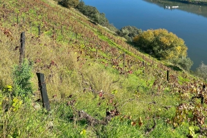 Duero z Porto – triathlon