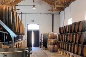 Duero z Porto – triathlon