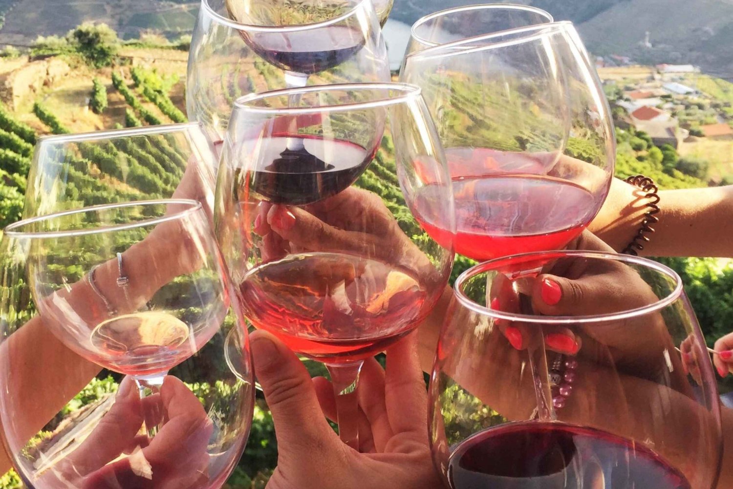 DOURO PREMIUM