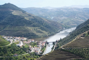 DOURO PREMIUM