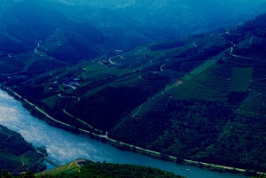 DOURO PREMIUM