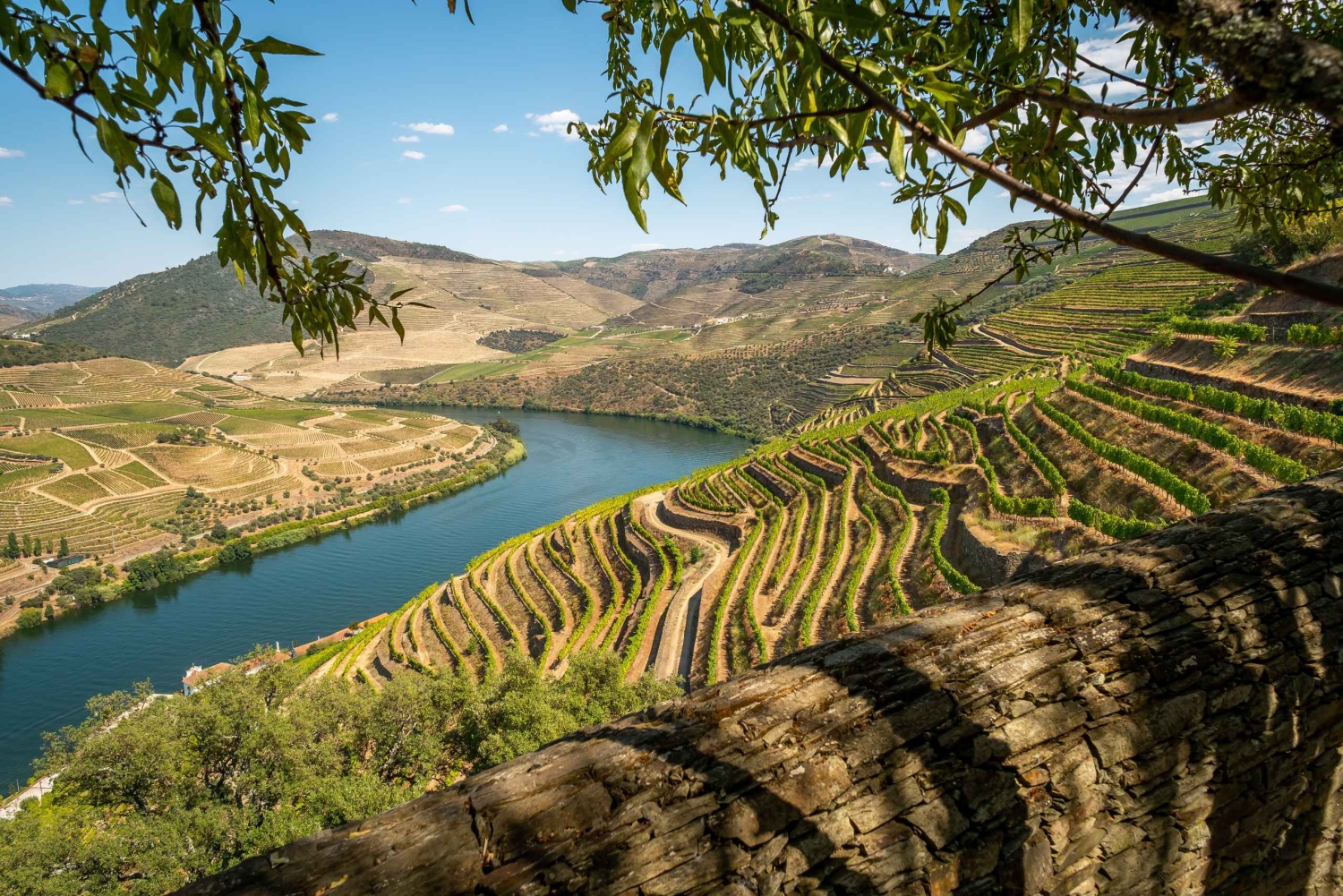 Privétour door de Douro – ervaring op maat