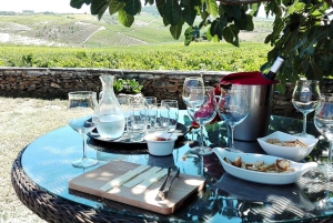 Privétour door de Douro – ervaring op maat