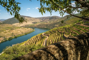 Privétour door de Douro – ervaring op maat