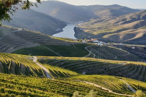 Privétour door de Douro – ervaring op maat