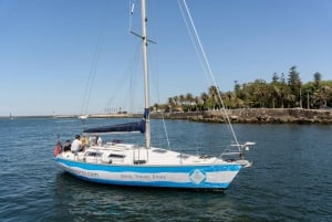 Douro-joen risteily purjeveneellä Cheese & Tonic Portossa