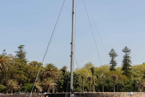 Douro-joen risteily purjeveneellä Cheese & Tonic Portossa