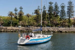Douro-joen risteily purjeveneellä Cheese & Tonic Portossa