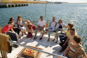 Douro : tour en bateau avec fête