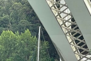 Sejlbådsoplevelse ved solnedgang på Douro i Porto