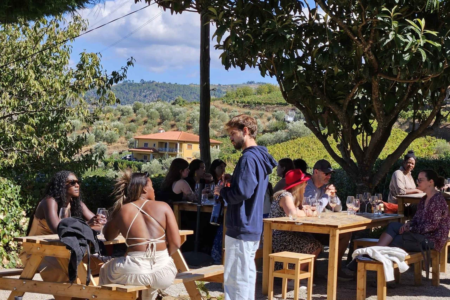 Tour por el Duero con Cata de Vinos y Visita a Lamego y Pinhão