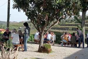 Visite du Douro avec dégustation de vins et visite de Lamego et Pinhão