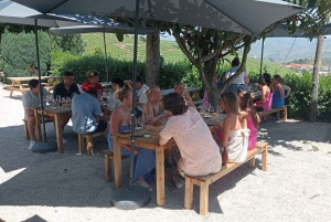 Visite du Douro avec dégustation de vins et visite de Lamego et Pinhão