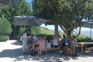 Visite du Douro avec dégustation de vins et visite de Lamego et Pinhão