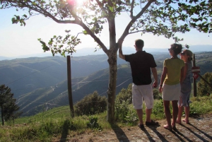 Visite du Douro avec dégustation de vins et visite de Lamego et Pinhão