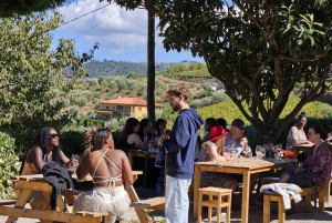 Tour por el Duero con Cata de Vinos y Visita a Lamego y Pinhão
