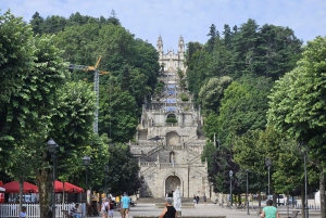 Tour por el Duero con Cata de Vinos y Visita a Lamego y Pinhão