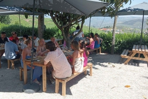 Tour por el Duero con Cata de Vinos y Visita a Lamego y Pinhão