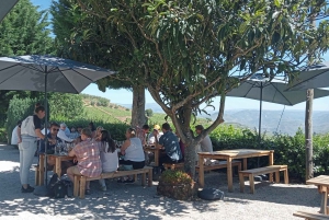 Tour por el Duero con Cata de Vinos y Visita a Lamego y Pinhão