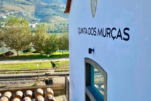 Douro-triathlon från Porto – bil, promenad och tåg