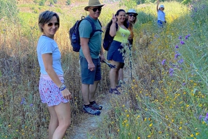 Douro-triathlon från Porto – bil, promenad och tåg