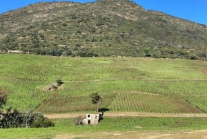 Douro-triathlon från Porto – bil, promenad och tåg