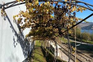 Douro-triathlon från Porto – bil, promenad och tåg