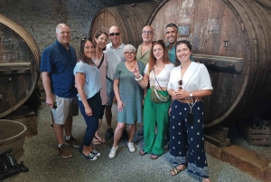 Porto: DOURO VALLEY Half-day Tour