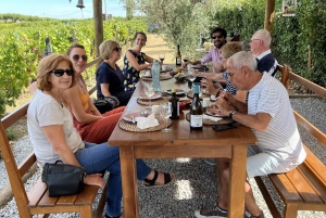Porto: DOURO VALLEY Half-day Tour