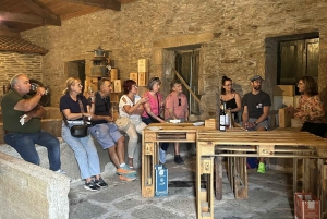 Porto: DOURO VALLEY Half-day Tour