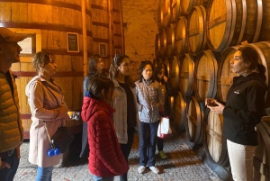 Porto: DOURO VALLEY Half-day Tour