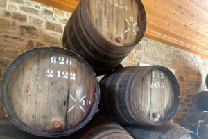 Porto: DOURO VALLEY Half-day Tour