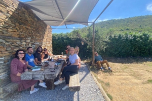 Porto: DOURO VALLEY Half-day Tour