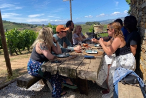 Porto: DOURO VALLEY Half-day Tour