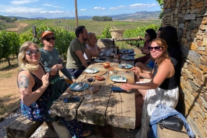 Porto: DOURO VALLEY Half-day Tour