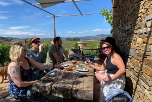 Porto: DOURO VALLEY Half-day Tour