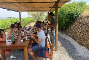 Porto: DOURO VALLEY Half-day Tour
