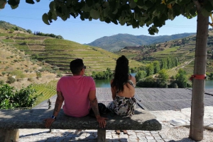 Porto: DOURO VALLEY Half-day Tour